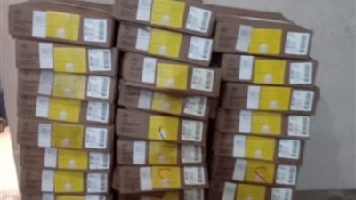 ضبط كمية من اللحوم المجمدة بالإسكندرية منتهية الصلاحية