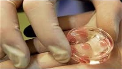 بعد أزمة شيرين عبدالوهاب.. ما لا تعرفه عن تجميد البويضات ورأي الافتاء بها