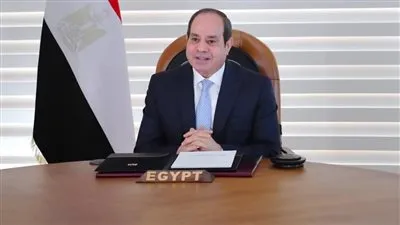 السيسي يؤكد ضرورة استمرار بذل الجهد للحفاظ على أمن إفريقيا (فيديو)