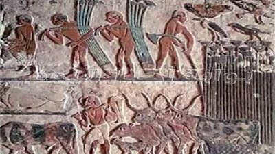 خبير أثري يكشف أقدم تقويم على وجه الأرض