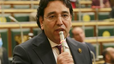 برلماني يطالب بتفعيل دور مركز تحديث الصناعة