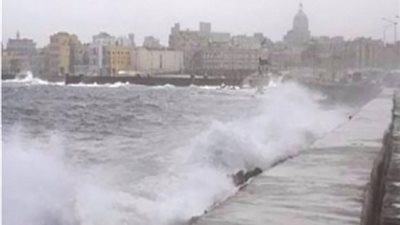 نشاط في حركة الرياح المثيرة للأترية في الإسكندرية