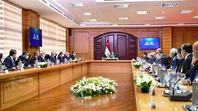 توجيهات عاجلة من الرئيس السيسي للمجلس الأعلى للجامعات