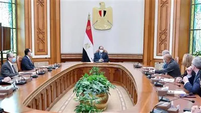 السيسي يستقبل رئيس شركة 