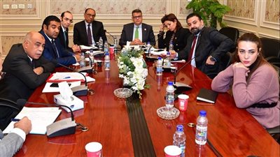 حقوق الإنسان بالنواب تؤكد علي استقلالية مجلس الأمومة والطفولة 