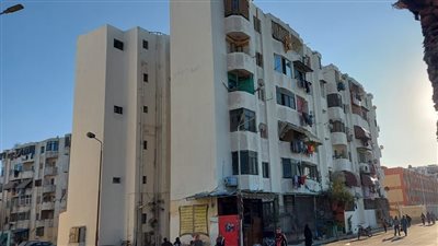 محافظ بورسعيد: استمرار أعمال تطوير شارع 23 ديسمبر ودهان واجهات العمارات (صور)