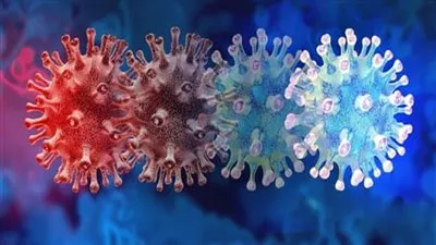 مكافحة كورونا تصدم المصريين بشأن متحور أوميكرون (فيديو)