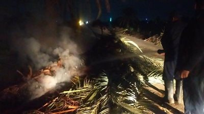 بسبب حريق نخلة.. غلق طريق فرعي وسقوط أسلاك الكهرباء ببني سويف