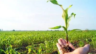 تفاصيل إقامة معرض لتكنولوجيا الزراعة والدواجن والأسماك في مصر