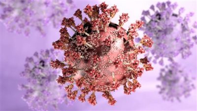 برلماني: لا بد من اتخاذ تدابير جديدة أكثر صرامة لمنع تفشى أوميكرون 