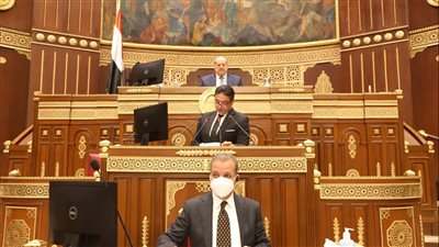 بدء جلسة مجلس الشيوخ