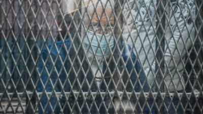 شاهد.. النطق بالحكم على القيادي محمود عزت في التخابر مع حماس