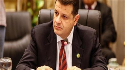 طارق رضوان: بيان الخارجية الألمانية والتدخل في الشأن المصري مراهقة سياسية