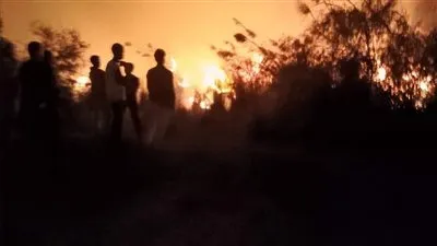 نفوق 8 رؤوس ماشية وتفحم الحظيرة.. معاينة موقع حريق البدرشين