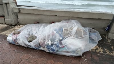 تضامن الإسكندرية لـ 