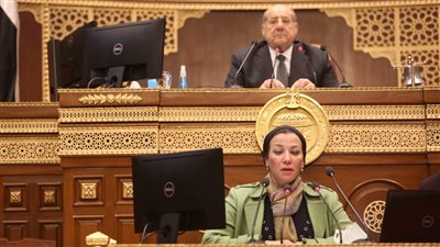وزيرة البيئة تكشف أمام مجلس الشيوخ خطة التعامل مع احتمالية 
