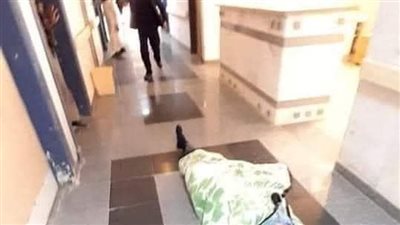 الصحة تكشف حقيقة إلقاء مريض على أرضية مستشفى الضبعة المركزي