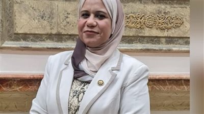 برلمانية: ملف التنمية يشهد اهتماما غير مسبوق من الرئيس وخاصة في الصعيد 