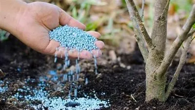 الأرض البور.. ارتفاع سعر الأسمدة بواقع ٦٠٠٪ فى ٨ سنوات و٧ أضعاف زيادة فى سعر السولار