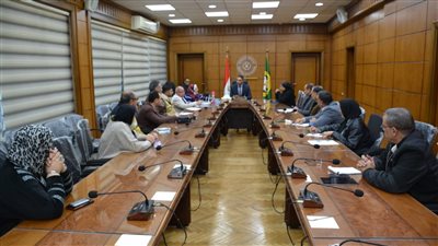 محافظ الدقهلية: مشروع 