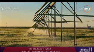  رئيس بحوث توشكى: الانتهاء من زراعة 150 ألف فدان بنهاية 2022