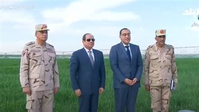 نقترب من الاكتفاء الذاتي.. أحمد موسى: نصف مليون فدان قمح سيتم زراعتها في توشكى