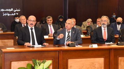 خلال مؤتمر التأمين على المصريين بالخارج.. أعضاء 