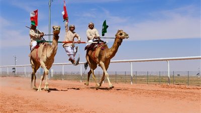 الهجانة العُمانية تواصل عروضها بمهرجان الملك عبدالعزيز للإبل