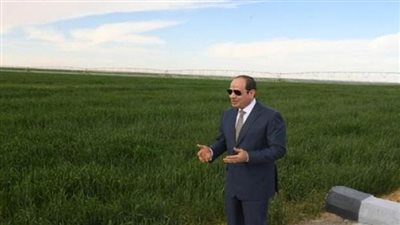 نقيب الزراعيين: أراضي توشكى تصلح لجميع أنواع المحاصيل