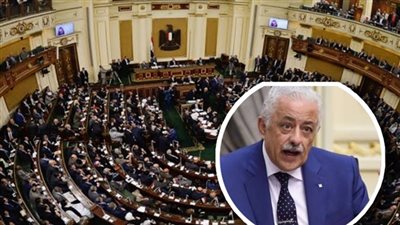  لحماية المعلمين.. برلماني يطالب بعودة ضرب الطلاب بالمدارس