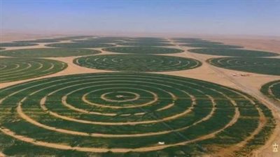 الراتب 3 آلاف جنيه.. فرص عمل بالجملة في مشروع توشكى