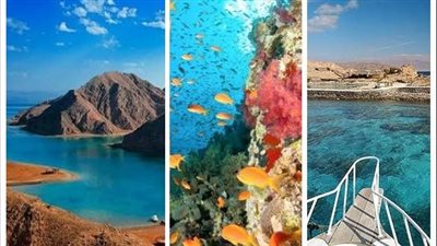 حصاد 2021.. إنجازات محلية ودولية في مجال التنوع البيولوجي