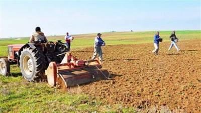 متحدث الزراعة: 250 ألف جنيه تكلفة استصلاح الفدان الواحد (فيديو)