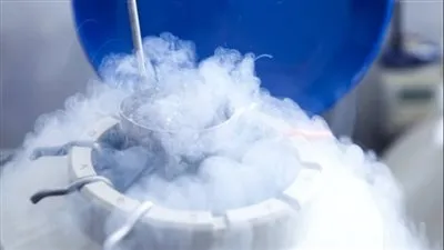 مغامرة صحفية.. رحلة تجميد البويضات من المرأة إلى الثلاجة