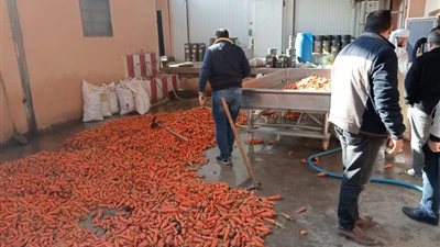 التحفظ على 3 أطنان جبن مجهولة المصدر داخل مصنع غير مرخص بالدقهلية