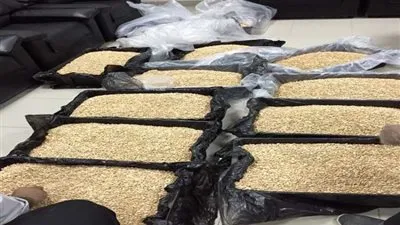 إحباط تهريب 9 ملايين قرص كبتاجون مخبأة بشحنة برتقال بميناء بيروت