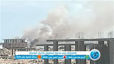 الحماية المدنية تحاول السيطرة على حريق بمحيط الغابة الشجرية بالغردقة (صور)