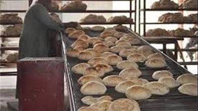 تحرير 25 قضية تموينية بمركزي قنا وقفط خلال حملة مكبرة 