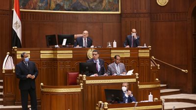 مجلس الشيوخ يوافق من حيث المبدأ على مشروع قانون العمل