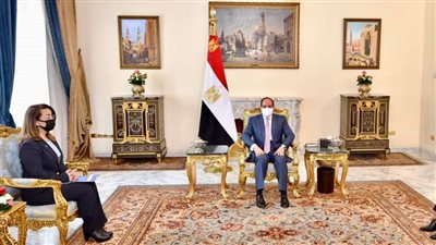 عاجل.. السيسي يستقبل وكيل السكرتير العام للأمم المتحدة