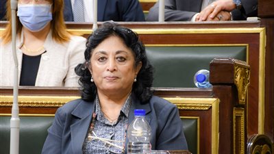 غدًا.. مجلس النواب يناقش سياسة الحكومة بشأن التوسع في زراعة نبات الجوجوبا