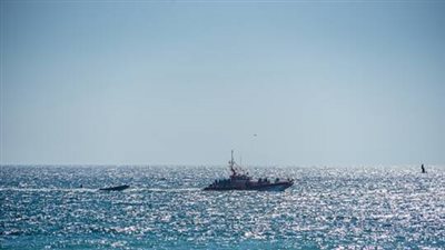 انتشال 3 جثث وإنقاذ 166 مهاجرا قبالة إسبانيا