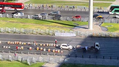 طريقة تظاهر غريبة.. متظاهرون غاضبون يطلقون 10 آلاف نحلة أمام قصر رئيس تشيلي