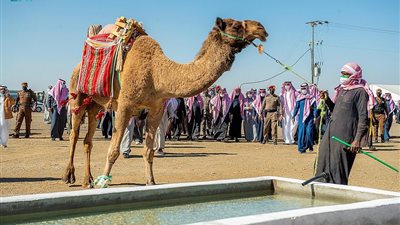 أمير القصيم يدشن أربعة موارد للسقيا في غرب المنطقة