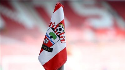 رجل أعمال صربي يستحوذ على نادي ساوثهامبتون الإنجليزي