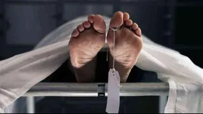 جثة ممزقة وسرقة 400 جنيه وهاتف محمول.. كيف قُتلت أجنبية على يد عشيقها بالشيخ زايد؟