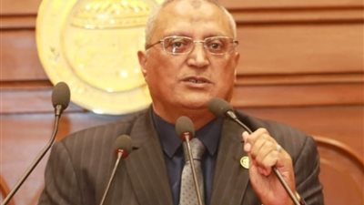 برلماني: القيادة السياسية حريصة على دعم المشروعات الصغيرة والمتوسطة