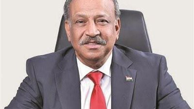 نائب بالشيوخ: تقرير «فيتش» عن زيادة الطبقة المتوسطة يؤكد استقرار أداء الاقتصاد