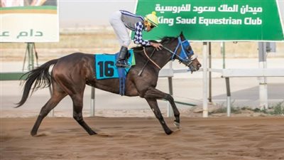 سباقات ميدان الملك سعود للفروسية بمنطقة القصيم