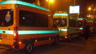 العثور على جثة سيدة مسنة بسرس الليان بالمنوفية